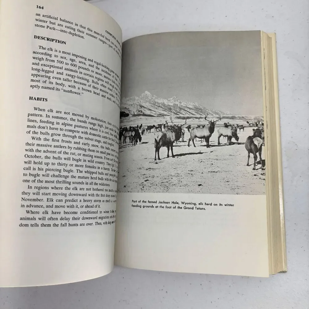 Vintage 1963 Outdoor Life Complete Book of Hunting by Clyde Ormond‎ HCDJ Nice!